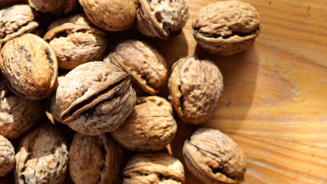 Noce (Walnut) - Nut-Based Gelato