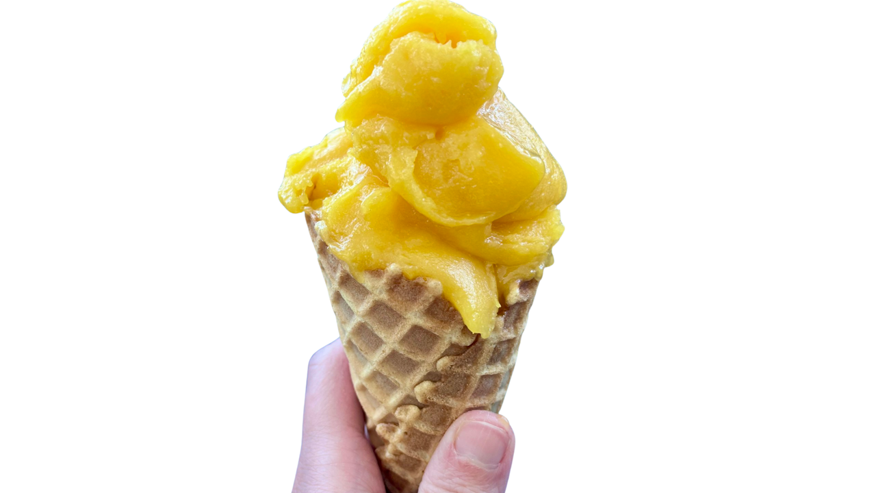 Mango Sorbet - Fruit Sorbet