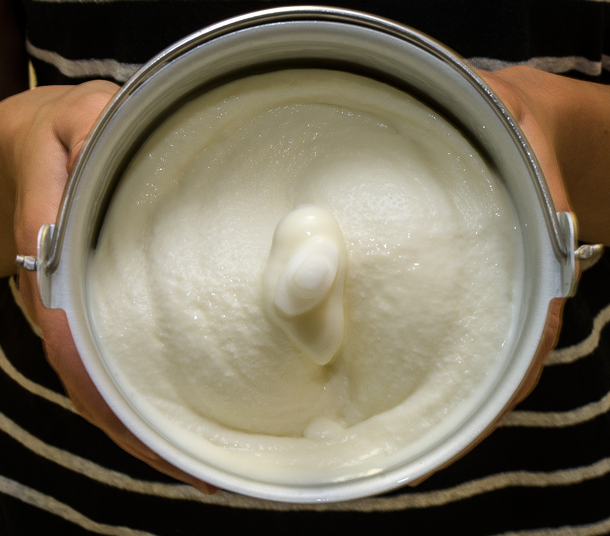 Fior di Latte (Sweet Milk) - Milk-Based Gelato