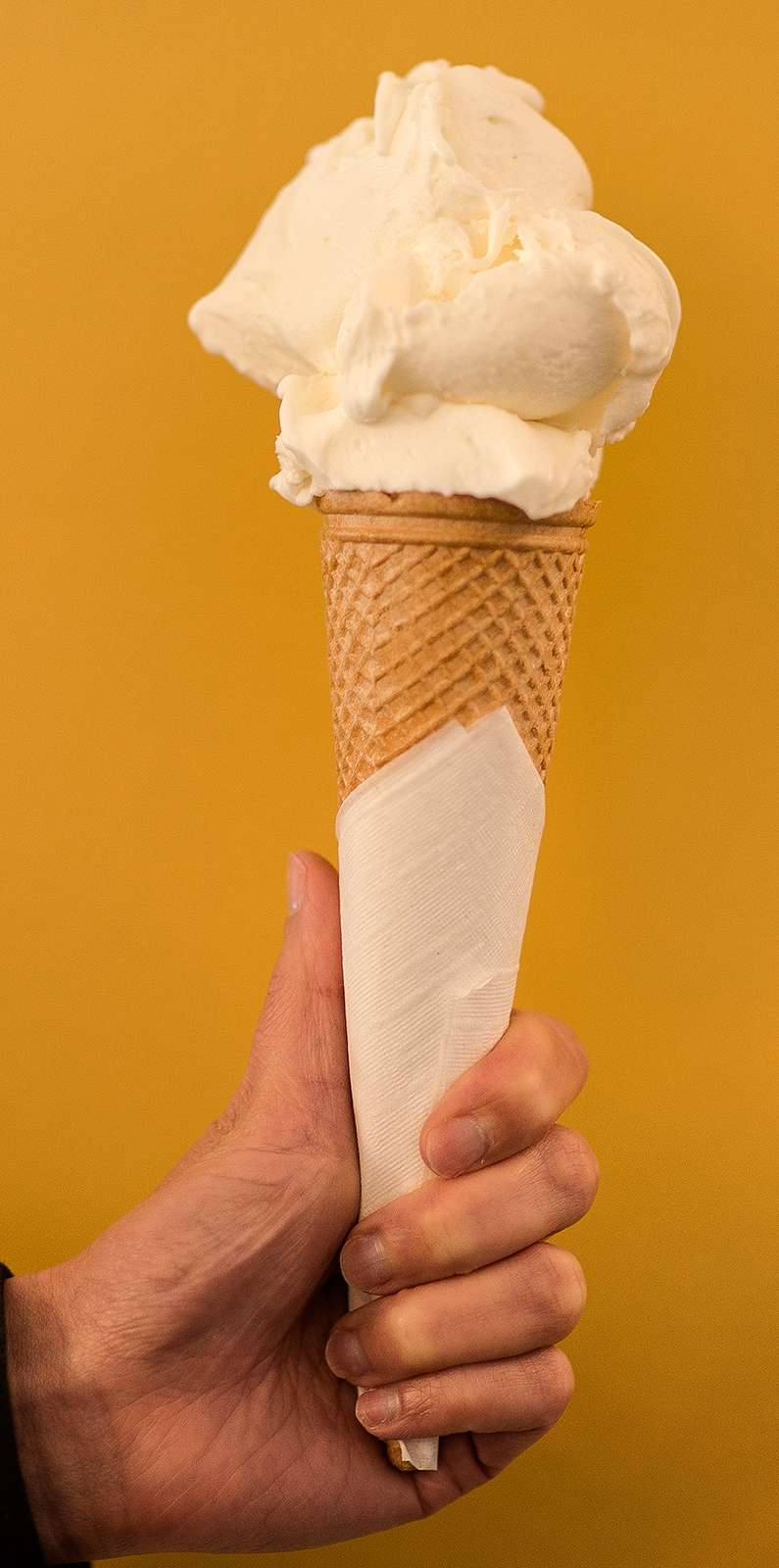 Fior di Latte (Sweet Milk) - Base #2 - Milk-Based Gelato