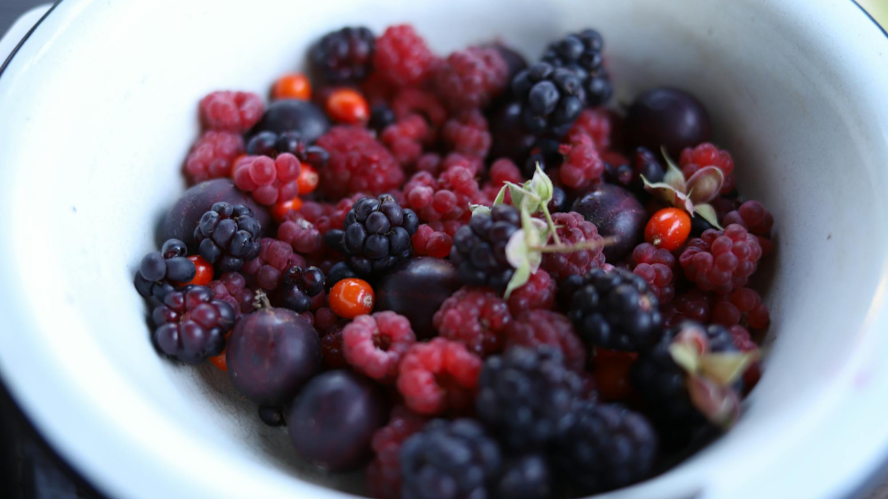 Frutti di Bosco (Forest Berries) - Fruit Sorbet