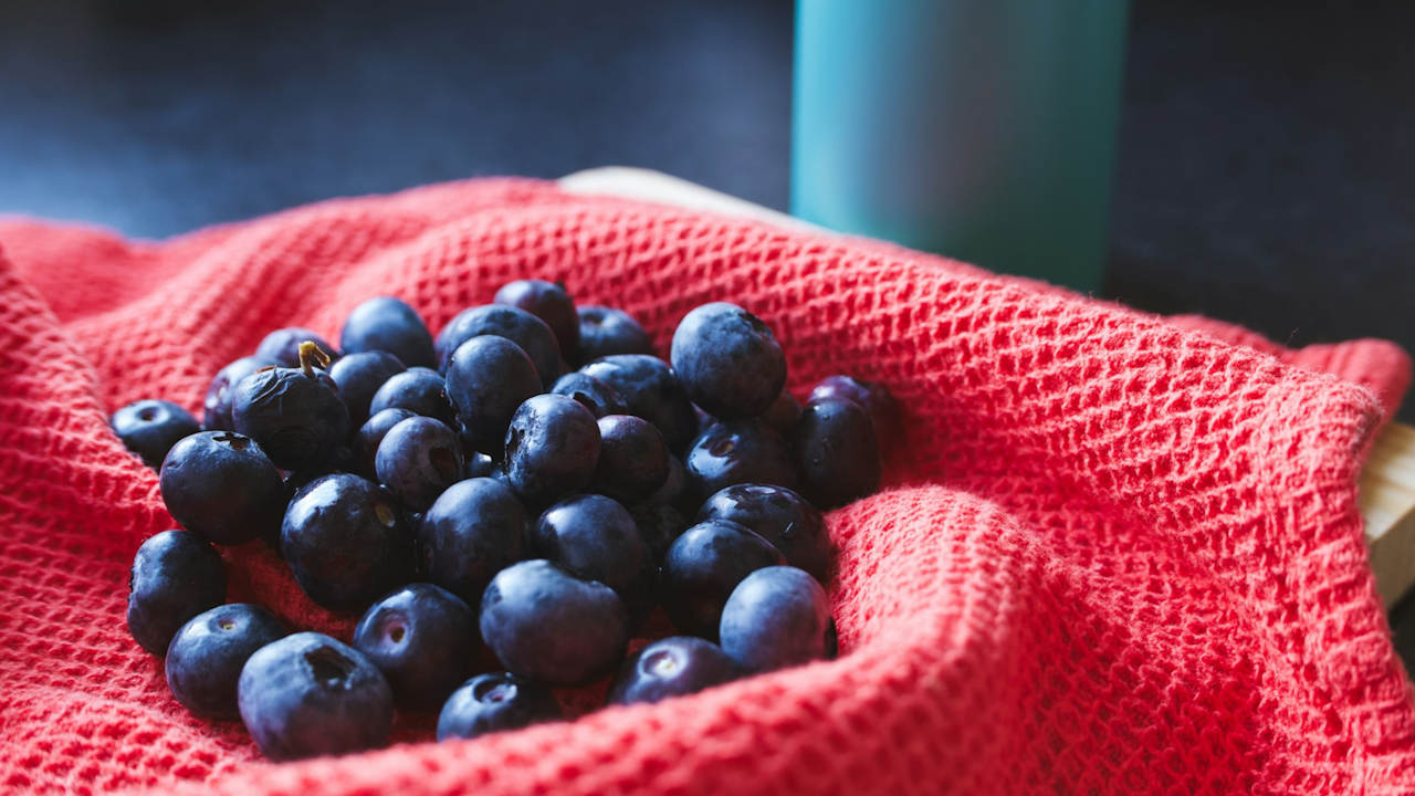 Blueberry Sorbet - Fruit Sorbet